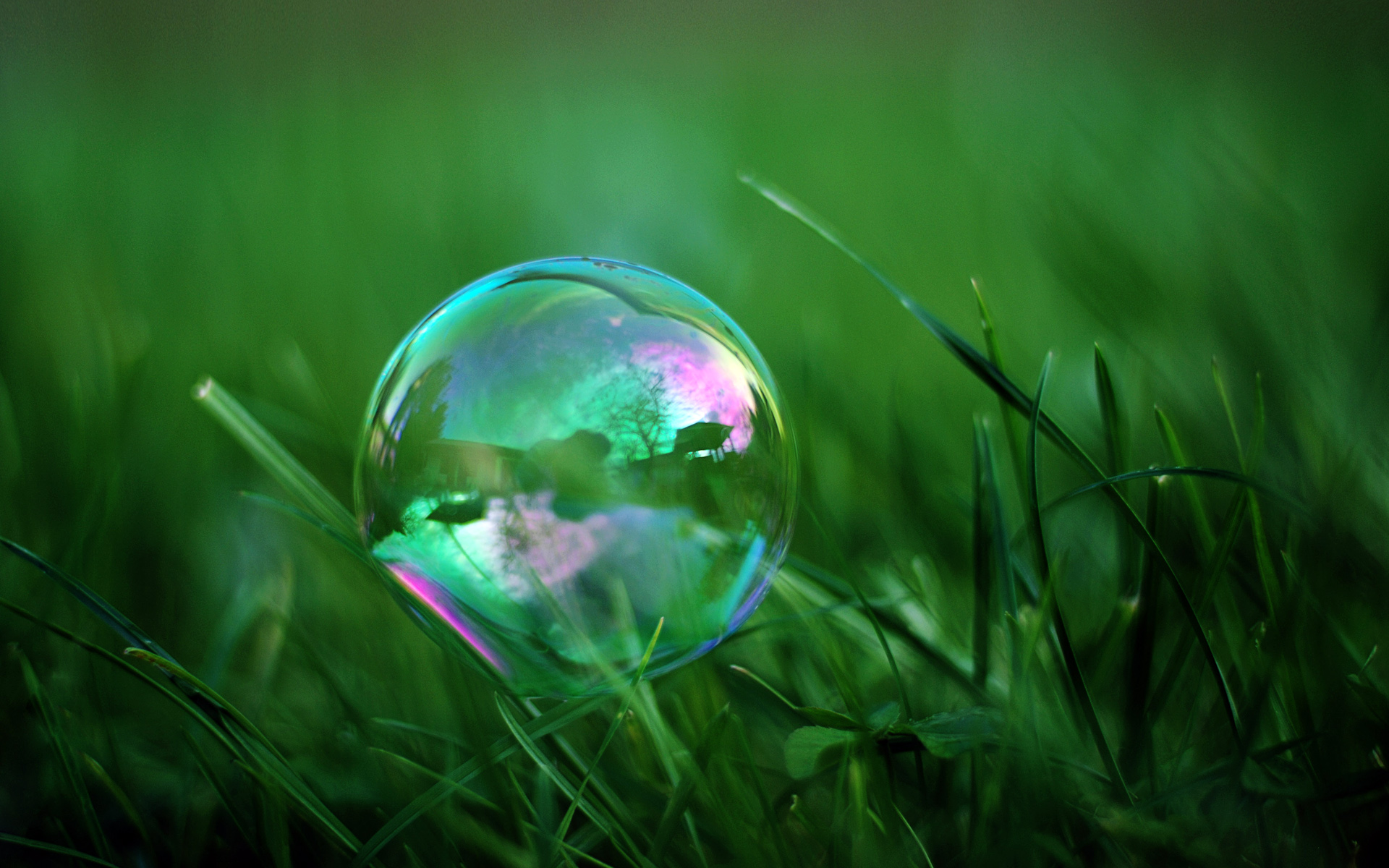 Soap Bubbles Wallpapers 1920x1200