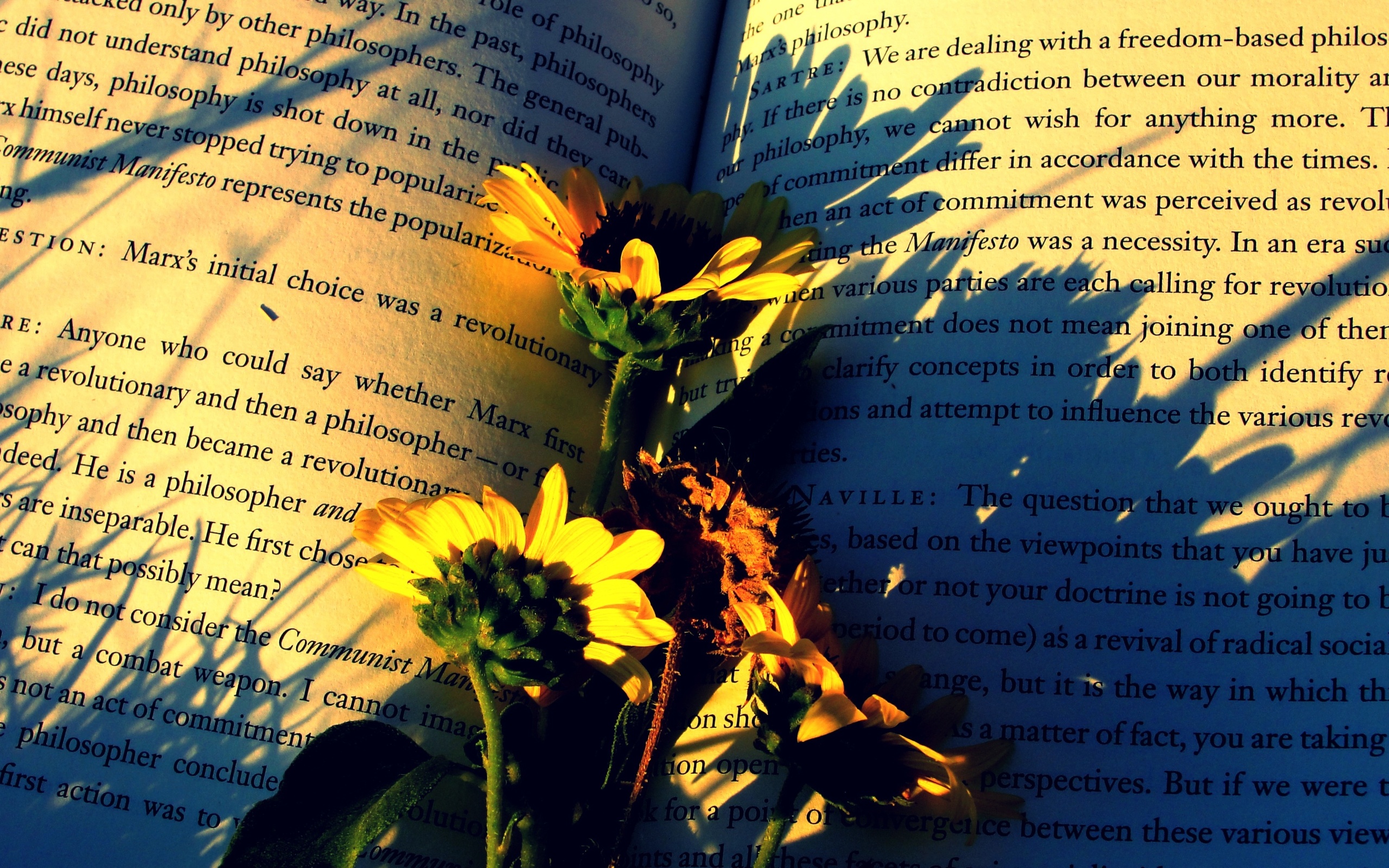 flowers on a book