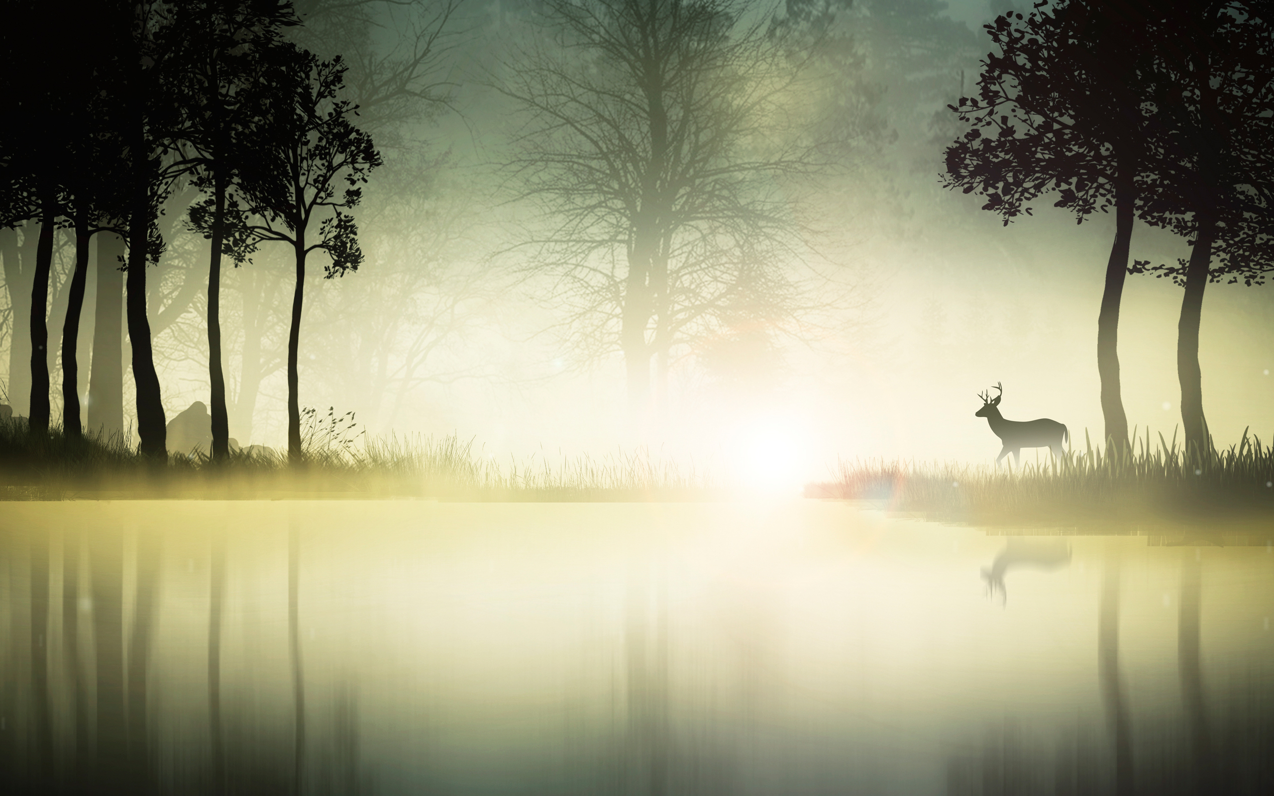 deer in fog