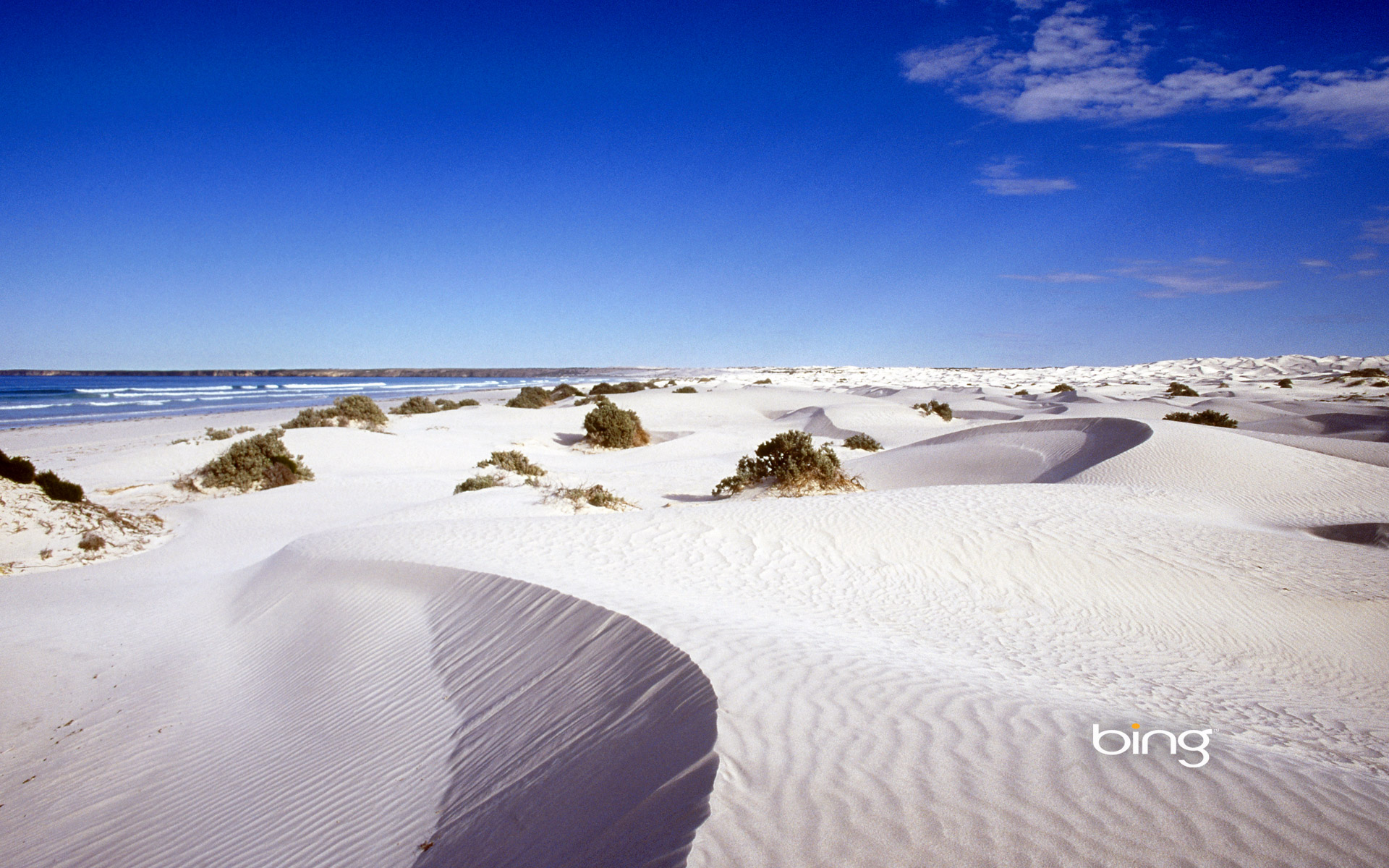 Coombra sand dunes, Head of Bight, Eyre Peninsula, Australia