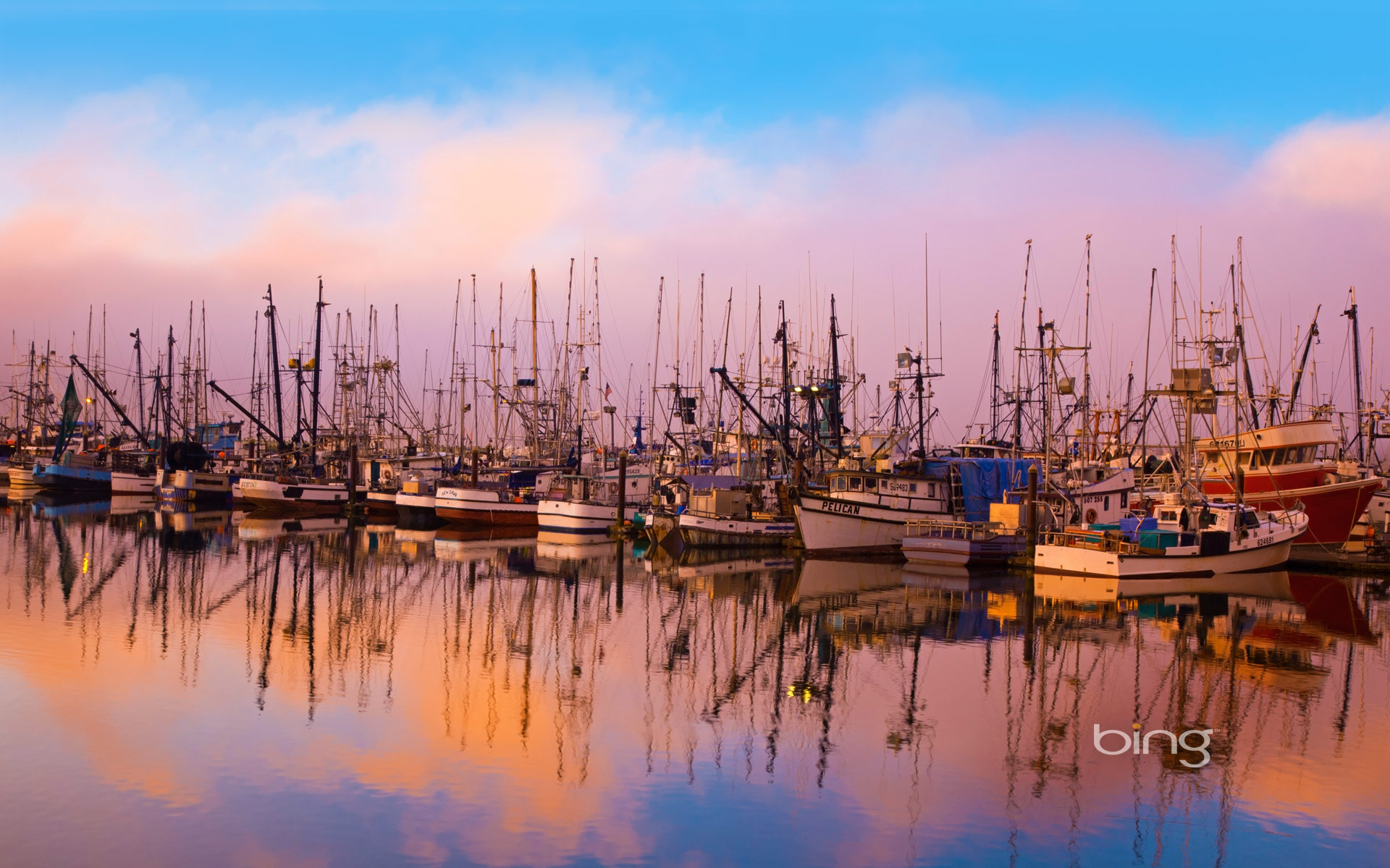 Fishing boats moored in Newport, Oregon