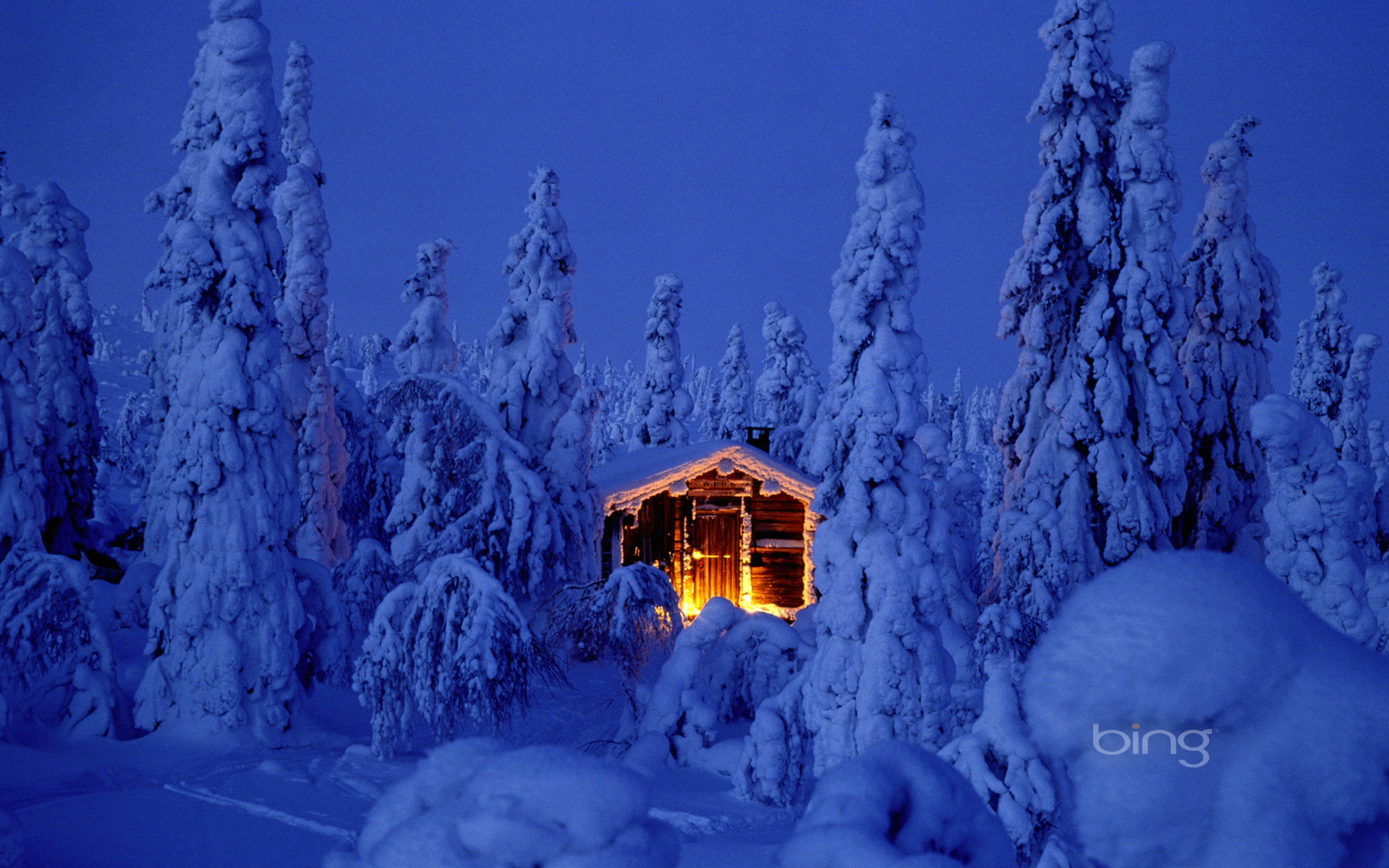 Snowy spruce forest with log cabin in Riisitunturi National Park, Finland