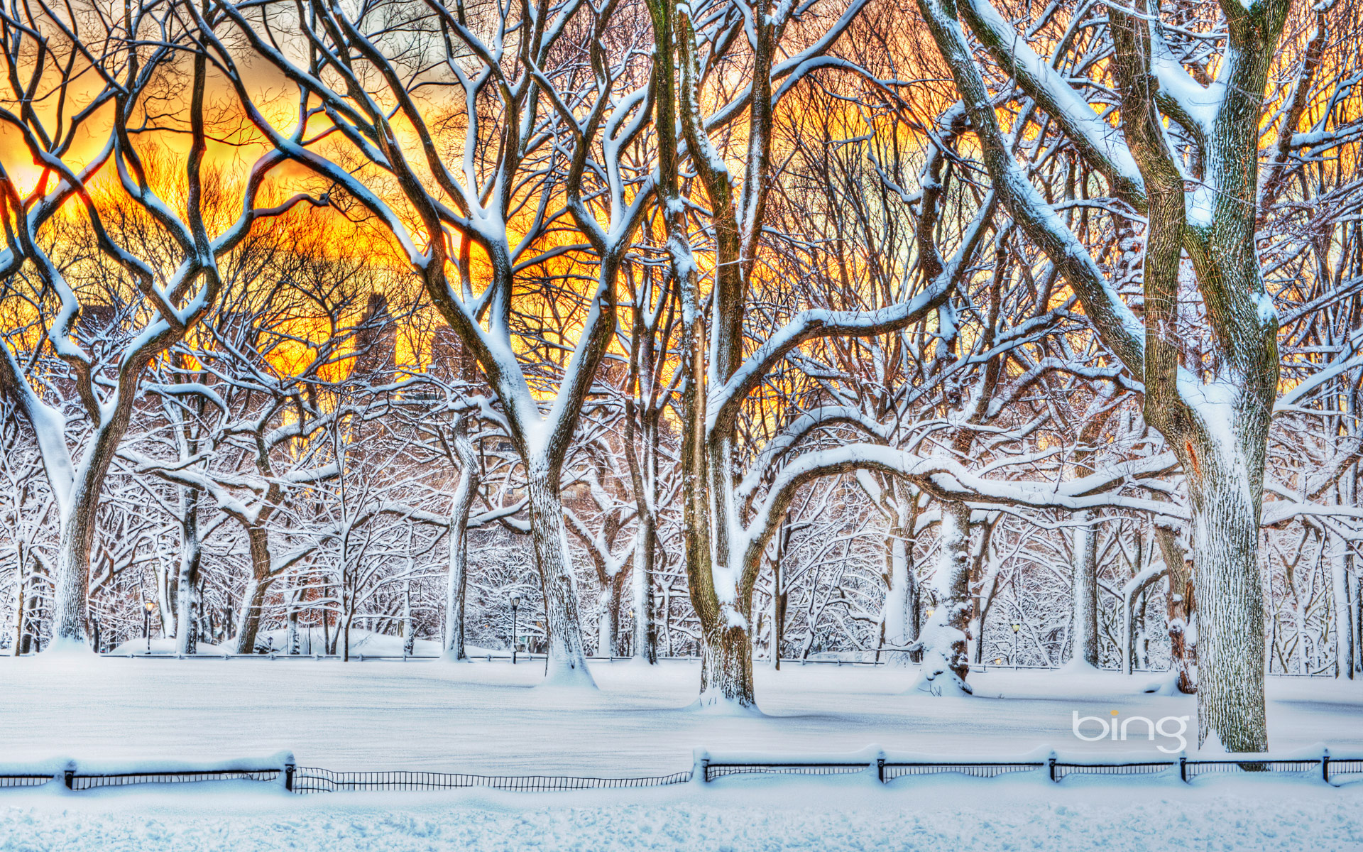 Sunrise in Central Park after a snowstorm in New York City, New York