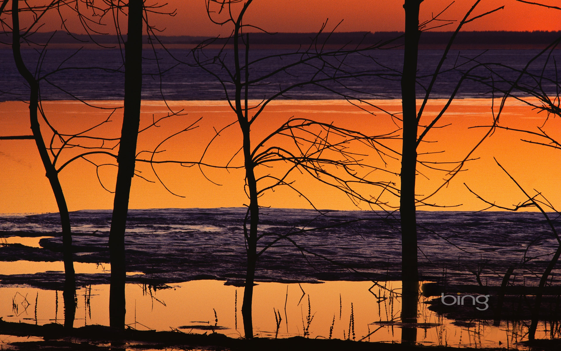 Reflection of winter sunset