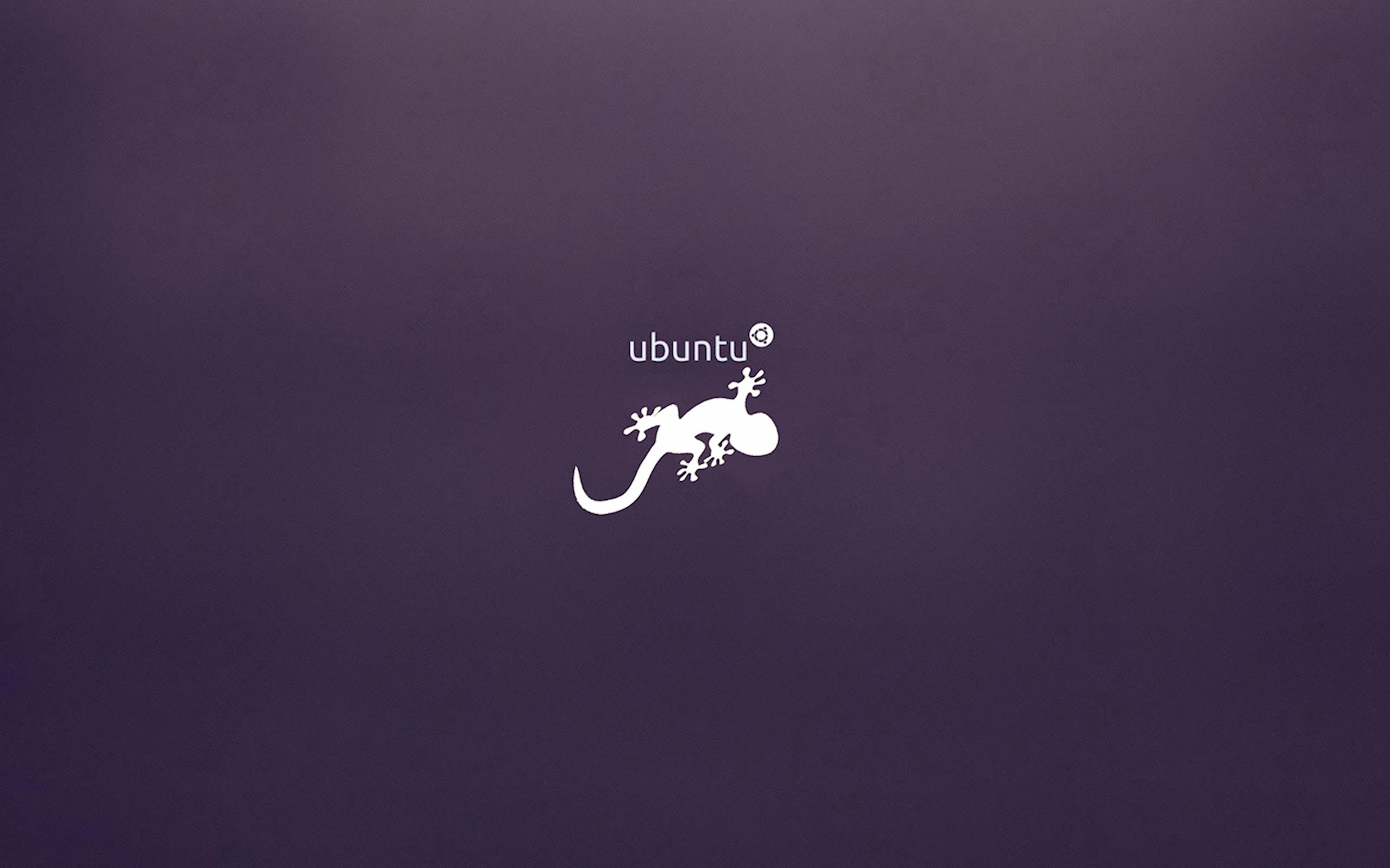 ubuntu 13.10 saucy salamander wallpapers