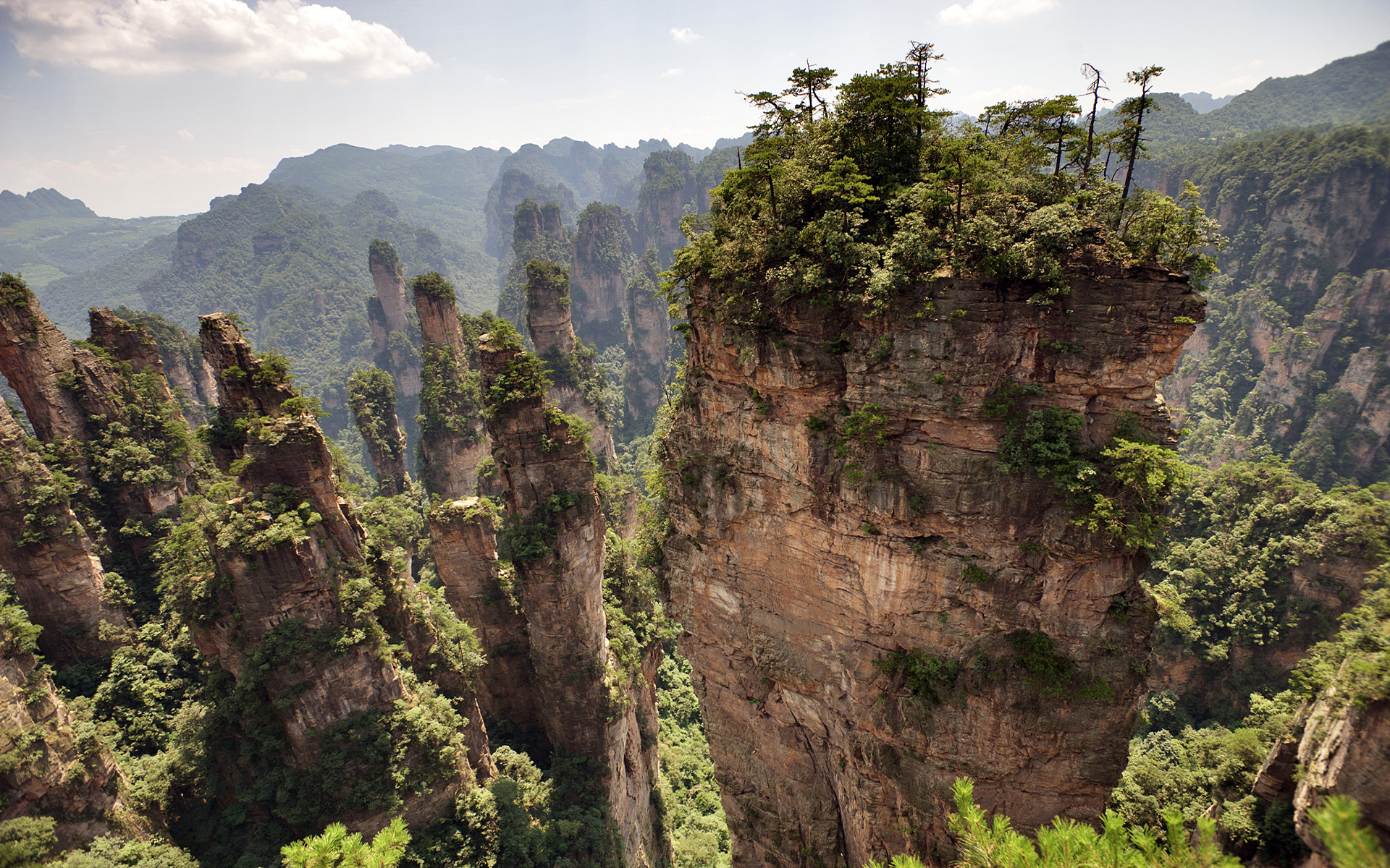 The Tianzi Mountians in Zhangjiajie National Park, China