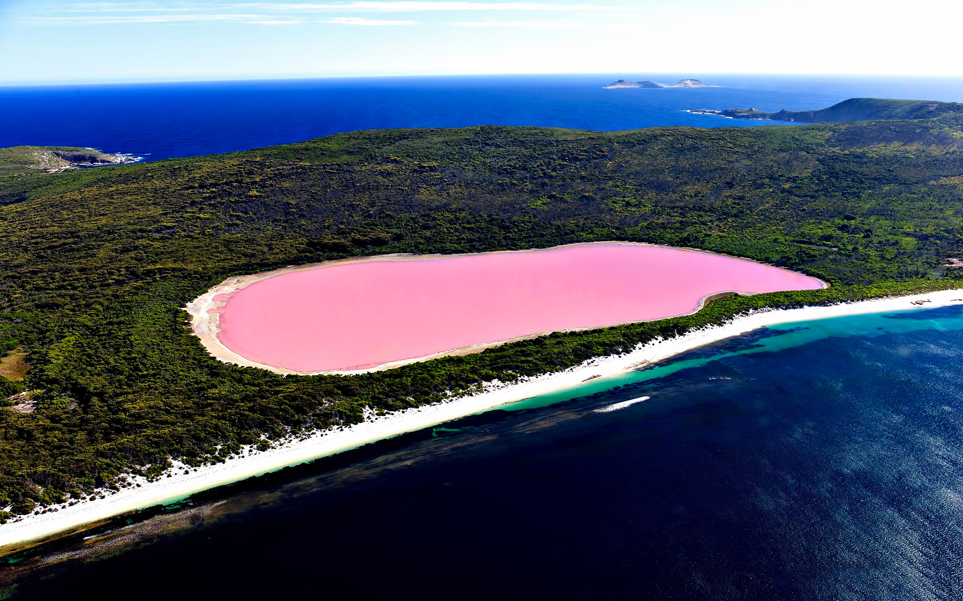 The pink lake Hillier in Australia