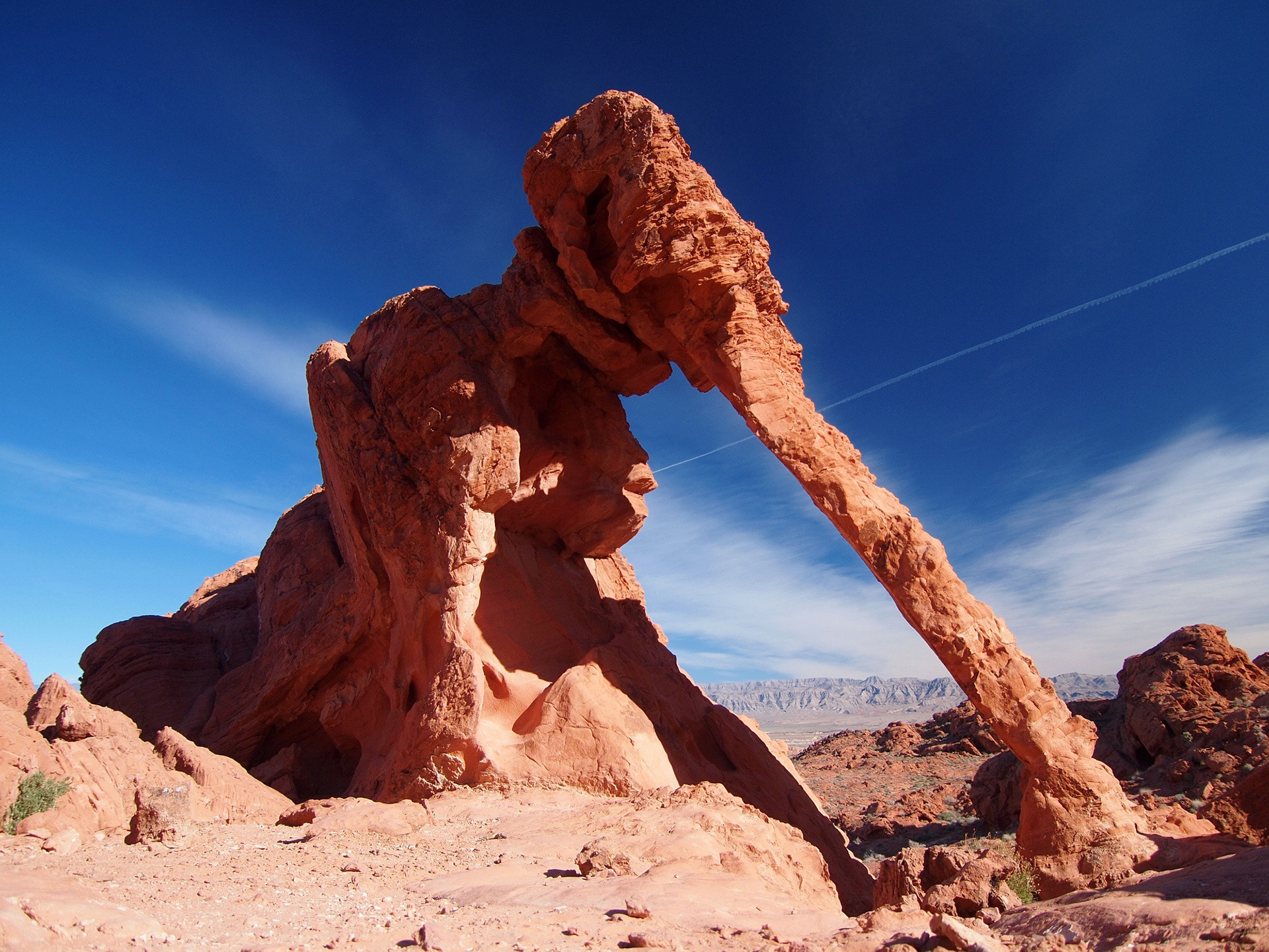 The Elephant Rock in the Valley of Fire State Park